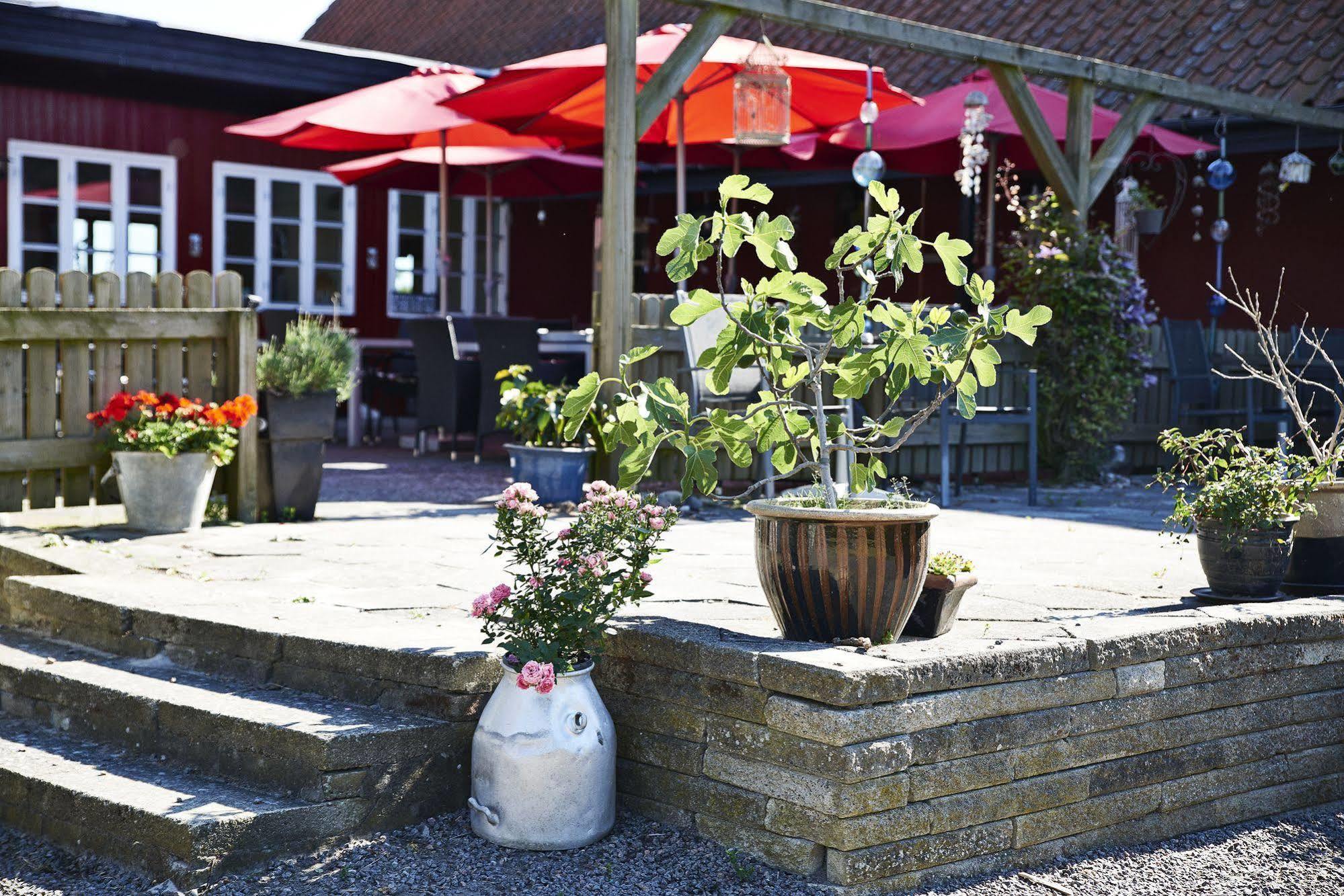 Rosengaarden Hostel Boderne ภายนอก รูปภาพ